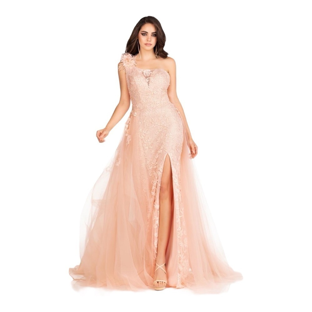 Abby Paris Longs by Lucci Lu Lace Gown with Tulle Overskirt in Blush NWT